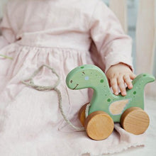 Load image into Gallery viewer, Friendly Toys Dino Pull Toy