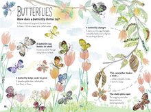 Load image into Gallery viewer, The Big Book of Bugs