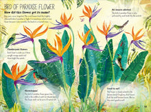 Load image into Gallery viewer, The Big Book of Blooms