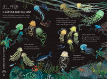 Load image into Gallery viewer, The Big Book of Blue