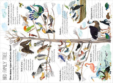 Load image into Gallery viewer, The Big Book of Birds
