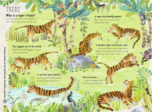 Load image into Gallery viewer, The Big Book of Beasts