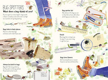 Load image into Gallery viewer, The Big Book of Bugs