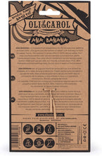 Load image into Gallery viewer, Oli & Carol Wally the Watermelon Teether & Bath Toy