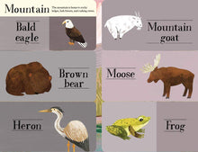 Load image into Gallery viewer, Hidden World: Animals