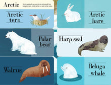 Load image into Gallery viewer, Hidden World: Animals