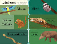 Load image into Gallery viewer, Hidden World: Animals