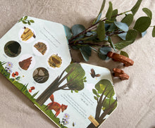 Load image into Gallery viewer, Animal Homes by Libby Walden