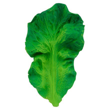 Load image into Gallery viewer, Oli & Carol Kendall the Kale Teether & Bath Toy