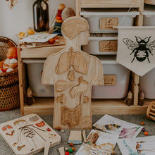 Load image into Gallery viewer, QToys Wooden Anatomy Puzzle