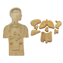 Load image into Gallery viewer, QToys Wooden Anatomy Puzzle