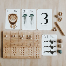 Load image into Gallery viewer, Jo Collier Nature 123 Flashcards