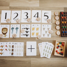 Load image into Gallery viewer, Jo Collier Nature 123 Flashcards