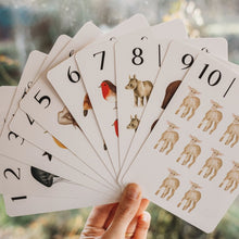 Load image into Gallery viewer, Jo Collier Nature 123 Flashcards
