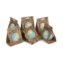 Load image into Gallery viewer, Oli & Carol Earthy the World Ball Teether & Bath Toy