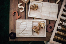 Load image into Gallery viewer, QToys Jumbo Counting Trays