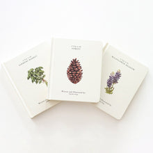 Load image into Gallery viewer, Our Little Adventures Book Set by Tabitha Paige