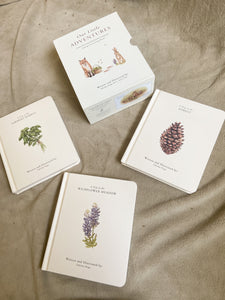 Our Little Adventures Book Set by Tabitha Paige