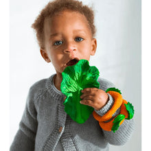 Load image into Gallery viewer, Oli &amp; Carol Kendall the Kale Teether &amp; Bath Toy
